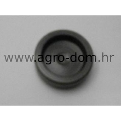 Podloška bolcna glave kose Rex, Gorenje muta