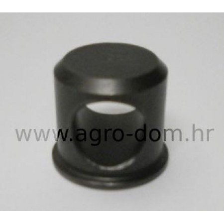 Bolcn glave kose Rex, Gorenje muta